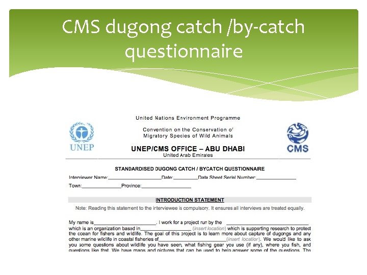 CMS dugong catch /by-catch questionnaire 