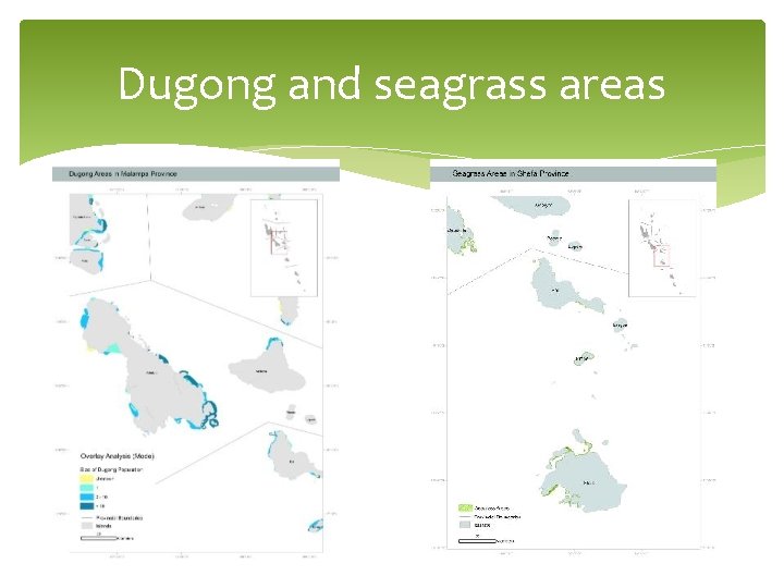 Dugong and seagrass areas 