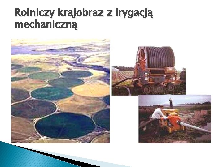 Rolniczy krajobraz z irygacją mechaniczną 
