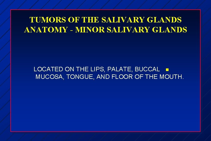 TUMORS OF THE SALIVARY GLANDS ANATOMY - MINOR SALIVARY GLANDS LOCATED ON THE LIPS,