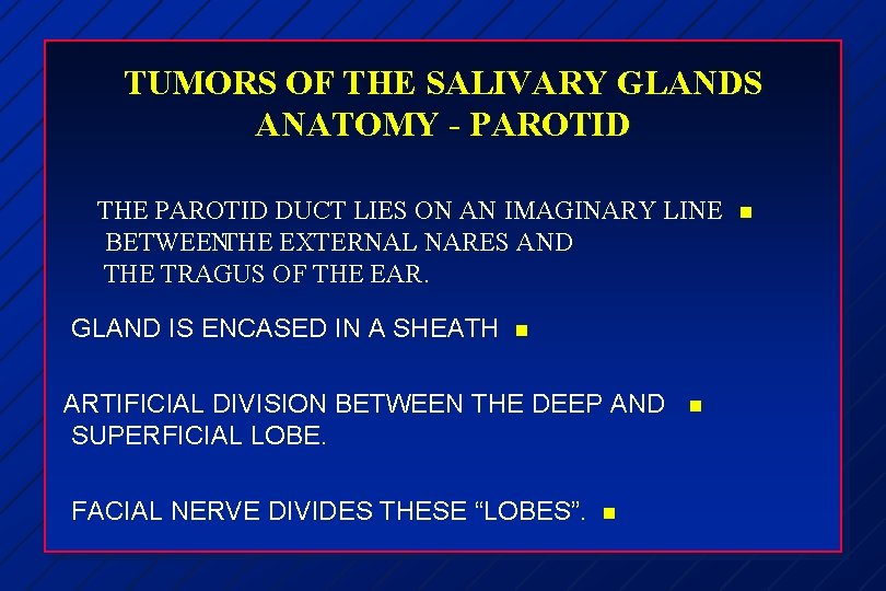 TUMORS OF THE SALIVARY GLANDS ANATOMY - PAROTID THE PAROTID DUCT LIES ON AN