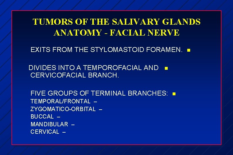 TUMORS OF THE SALIVARY GLANDS ANATOMY - FACIAL NERVE EXITS FROM THE STYLOMASTOID FORAMEN.