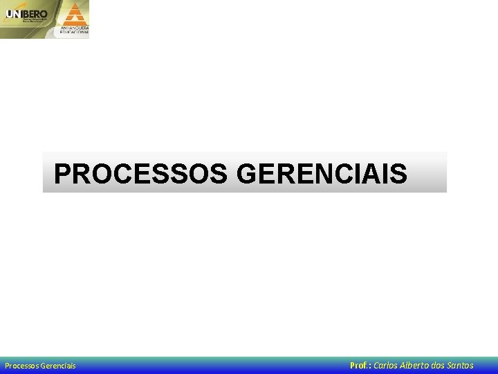 PROCESSOS GERENCIAIS Processos Gerenciais Prof. : Carlos Alberto dos Santos 
