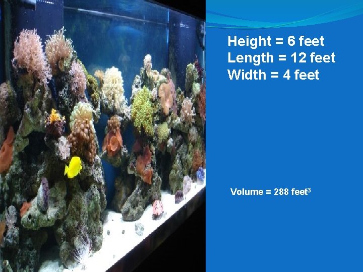 Height = 6 feet Length = 12 feet Width = 4 feet Volume =