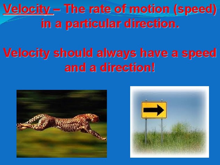 Velocity – The rate of motion (speed) in a particular direction. Velocity should always