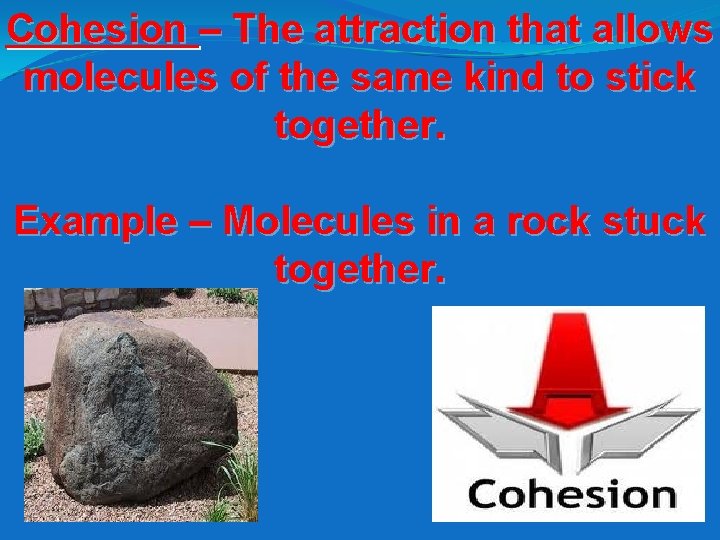 Cohesion – The attraction that allows molecules of the same kind to stick together.