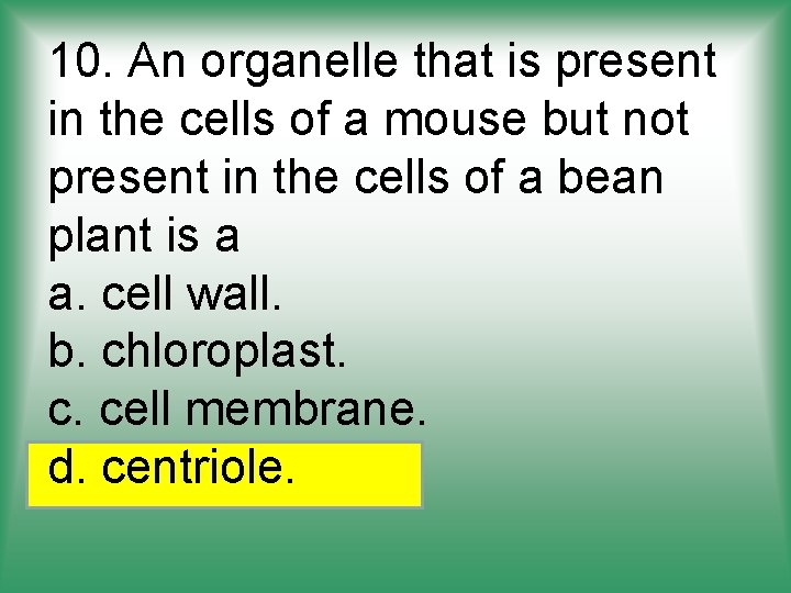 10. An organelle that is present in the cells of a mouse but not