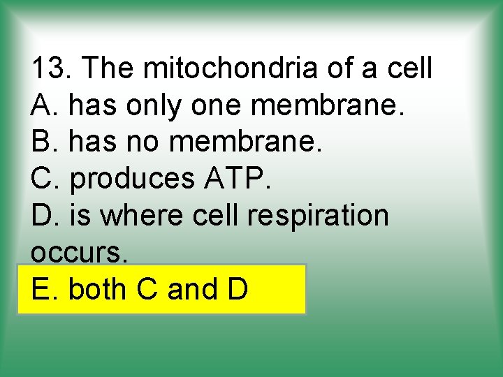 13. The mitochondria of a cell A. has only one membrane. B. has no