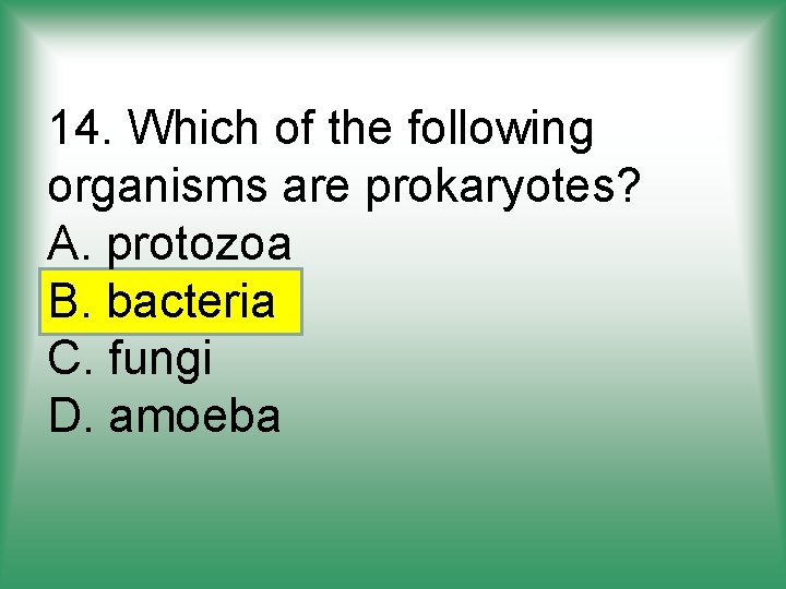 14. Which of the following organisms are prokaryotes? A. protozoa B. bacteria C. fungi