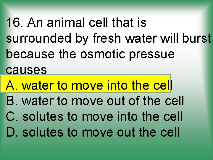 16. An animal cell that is surrounded by fresh water will burst because the