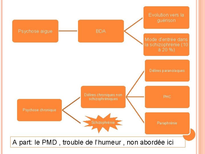 Evolution vers la guérison Psychose aigue BDA Mode d’entrée dans la schizophrénie (10 à