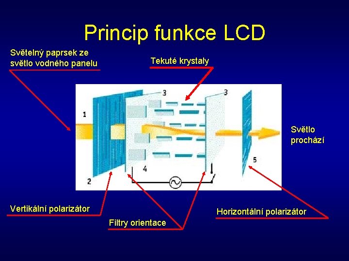 Princip funkce LCD Světelný paprsek ze světlo vodného panelu Tekuté krystaly Světlo prochází Vertikální