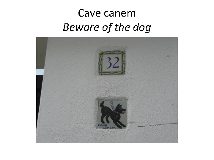 Cave canem Beware of the dog 