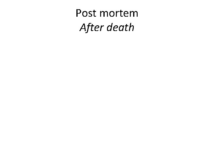 Post mortem After death 