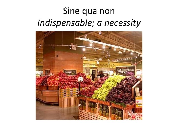 Sine qua non Indispensable; a necessity 
