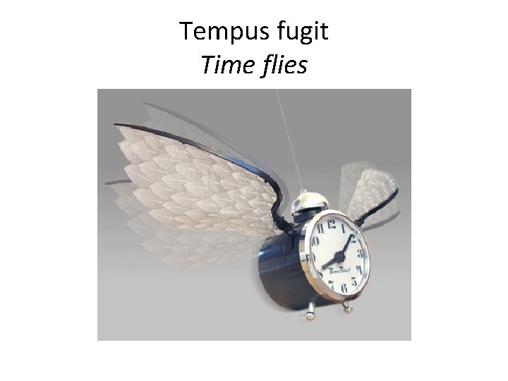 Tempus fugit Time flies 