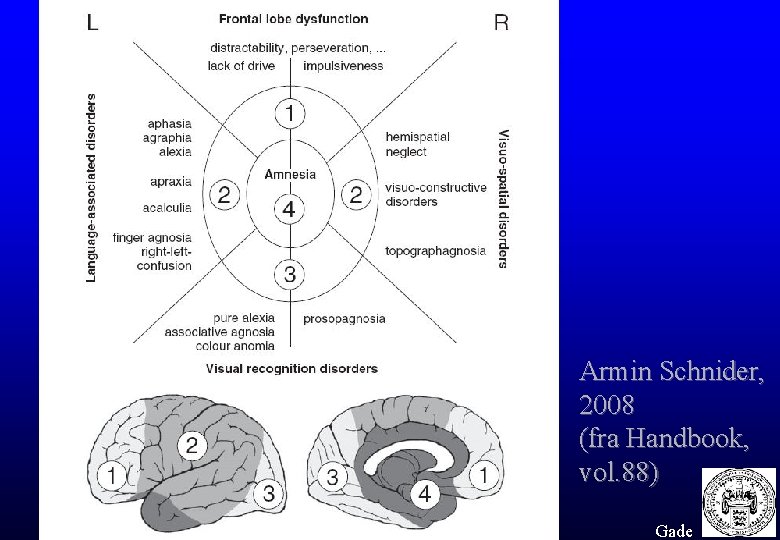 Armin Schnider, 2008 (fra Handbook, vol. 88) Gade 