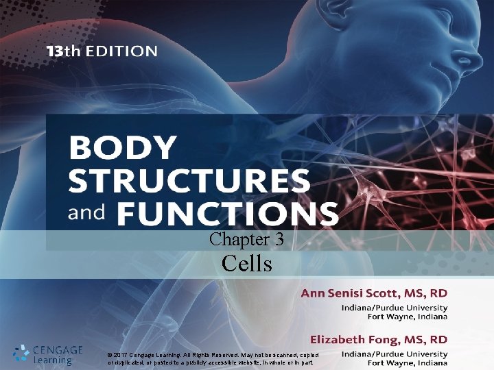 Chapter 3 Cells © 2017 Cengage © 2017 Learning. Cengage All. Learning. Rights Reserved.