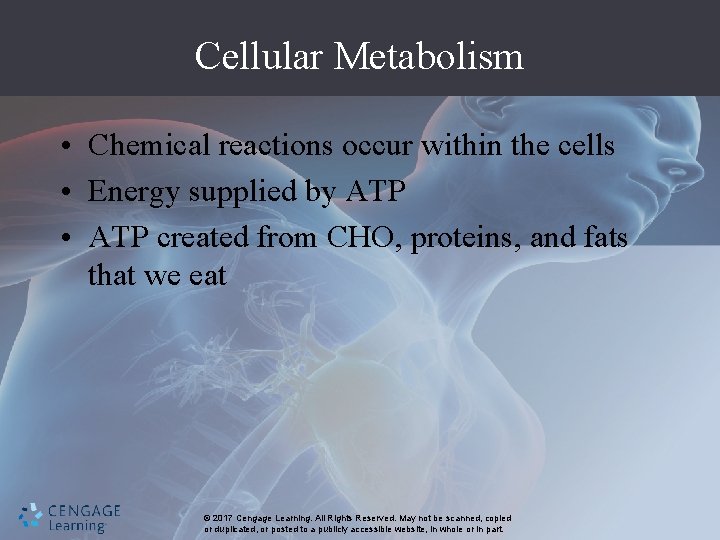 Cellular Metabolism • Chemical reactions occur within the cells • Energy supplied by ATP