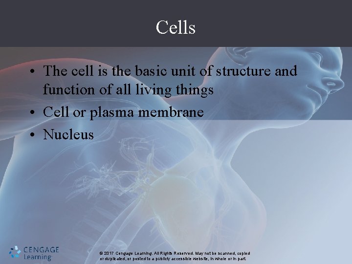 Cells • The cell is the basic unit of structure and function of all