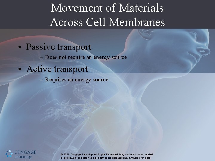 Movement of Materials Across Cell Membranes • Passive transport – Does not require an