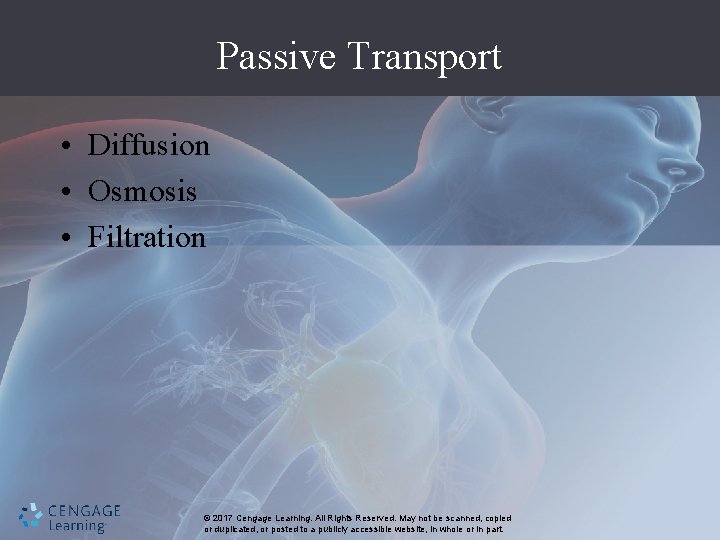 Passive Transport • Diffusion • Osmosis • Filtration © 2017 Cengage Learning. All Rights