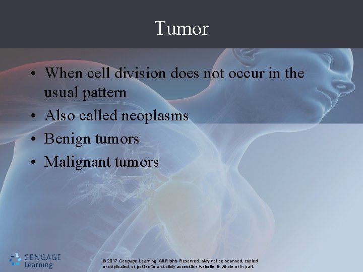 Tumor • When cell division does not occur in the usual pattern • Also