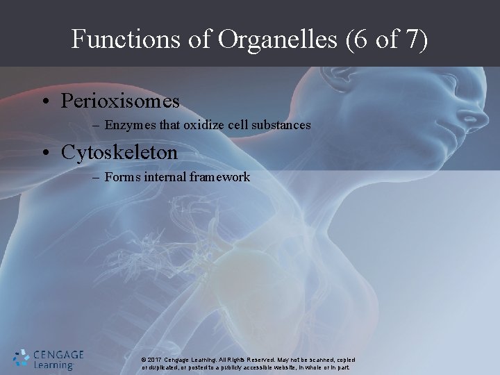 Functions of Organelles (6 of 7) • Perioxisomes – Enzymes that oxidize cell substances