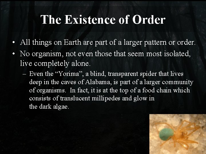 The Existence of Order • All things on Earth are part of a larger