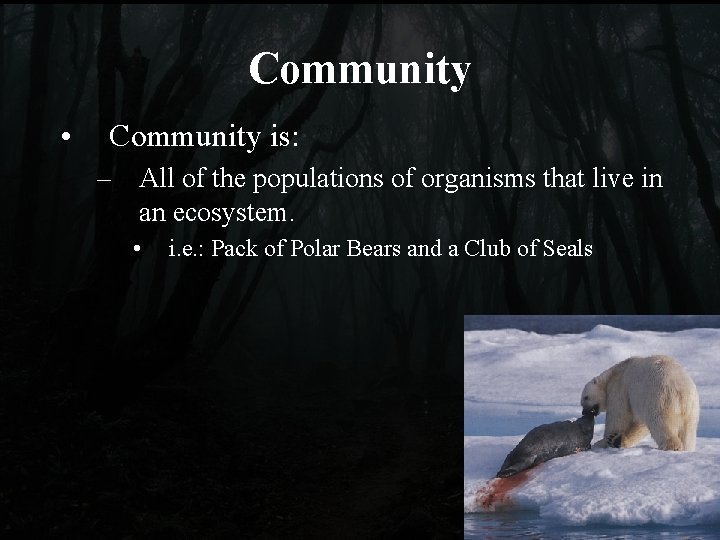 Community • Community is: – All of the populations of organisms that live in