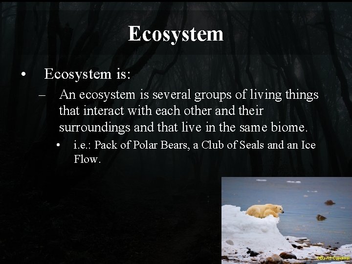 Ecosystem • Ecosystem is: – An ecosystem is several groups of living things that