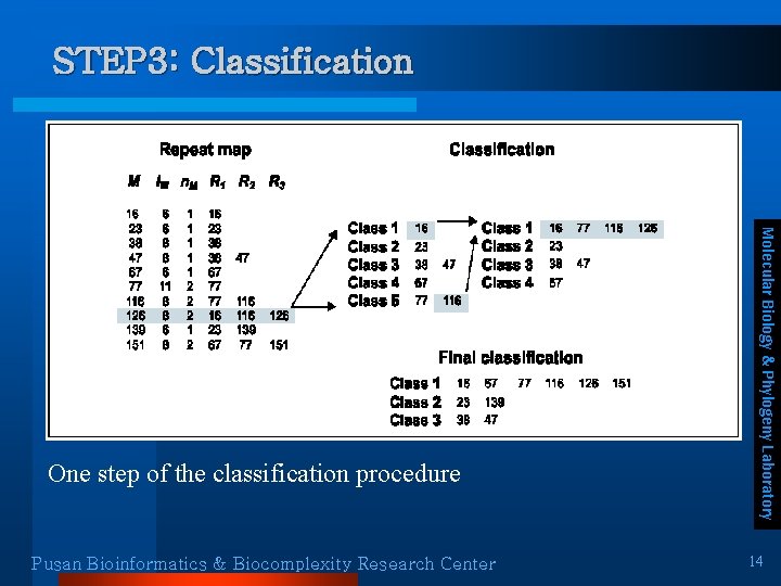 STEP 3: Classification Pusan Bioinformatics & Biocomplexity Research Center Molecular Biology & Phylogeny Laboratory STEP 3: Classification Pusan Bioinformatics & Biocomplexity Research Center Molecular Biology & Phylogeny Laboratory