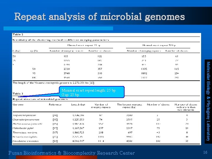Repeat analysis of microbial genomes Pusan Bioinformatics & Biocomplexity Research Center Molecular Biology & Repeat analysis of microbial genomes Pusan Bioinformatics & Biocomplexity Research Center Molecular Biology &