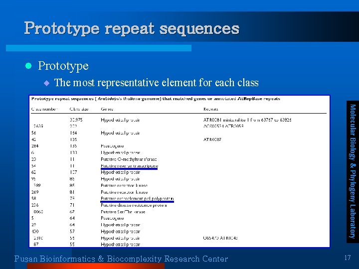 Prototype repeat sequences l Prototype ¨ The most representative element for each class Molecular Prototype repeat sequences l Prototype ¨ The most representative element for each class Molecular