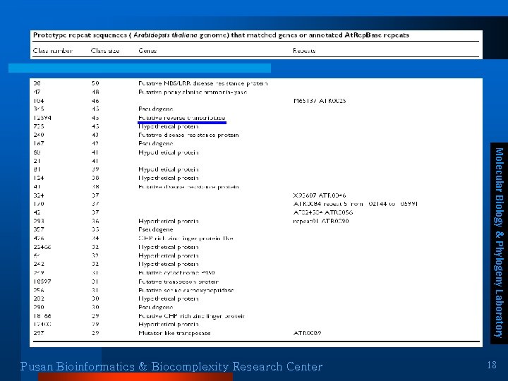 Molecular Biology & Phylogeny Laboratory Pusan Bioinformatics & Biocomplexity Research Center 18 Molecular Biology & Phylogeny Laboratory Pusan Bioinformatics & Biocomplexity Research Center 18
