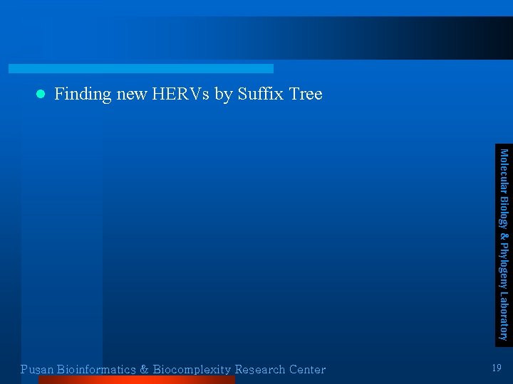 l Finding new HERVs by Suffix Tree Molecular Biology & Phylogeny Laboratory Pusan Bioinformatics l Finding new HERVs by Suffix Tree Molecular Biology & Phylogeny Laboratory Pusan Bioinformatics