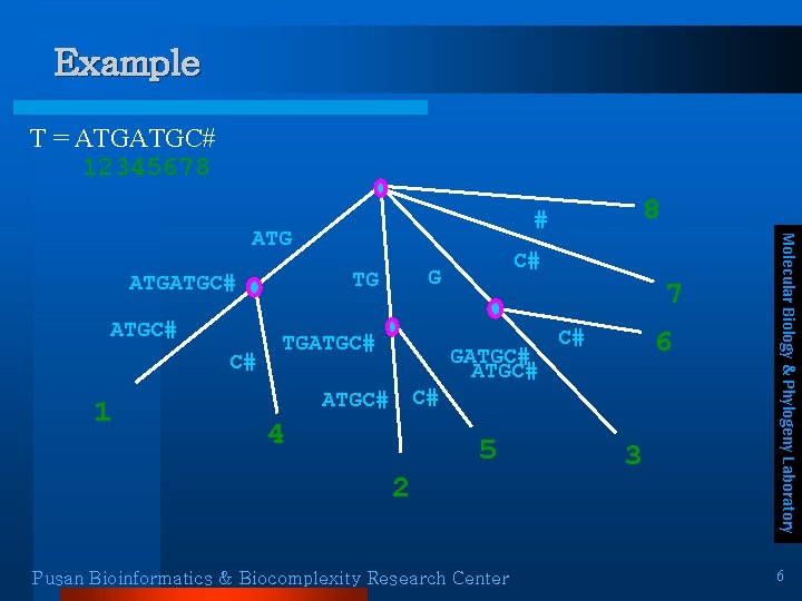 Example T = ATGATGC# 12345678 ATGC# C# 1 C# G TG TGATGC# 7 GATGC# Example T = ATGATGC# 12345678 ATGC# C# 1 C# G TG TGATGC# 7 GATGC#