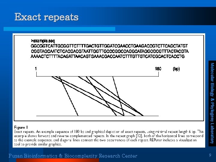 Exact repeats Molecular Biology & Phylogeny Laboratory Pusan Bioinformatics & Biocomplexity Research Center 9 Exact repeats Molecular Biology & Phylogeny Laboratory Pusan Bioinformatics & Biocomplexity Research Center 9