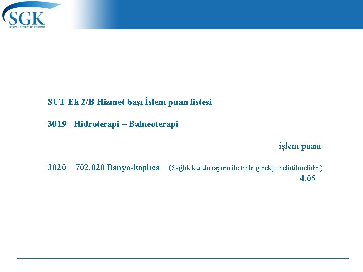 SUT Ek 2/B Hizmet başı İşlem puan listesi 3019 Hidroterapi – Balneoterapi işlem puanı