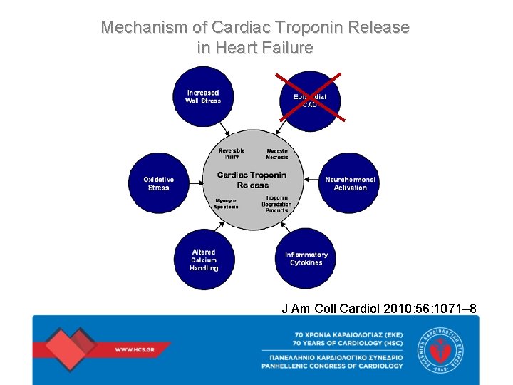 Mechanism of Cardiac Troponin Release in Heart Failure J Am Coll Cardiol 2010; 56: