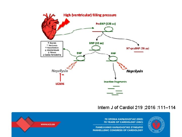 Intern J of Cardiol 219 ; 2016 : 111– 114 