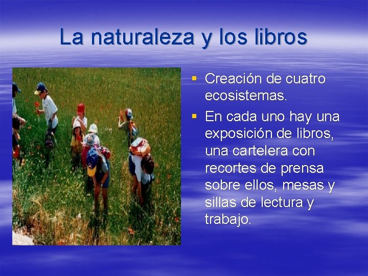 La naturaleza y los libros § Creación de cuatro ecosistemas. § En cada uno