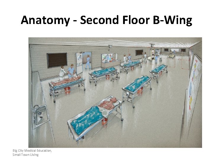 Anatomy - Second Floor B-Wing Big City Medical Education, Small Town Living 