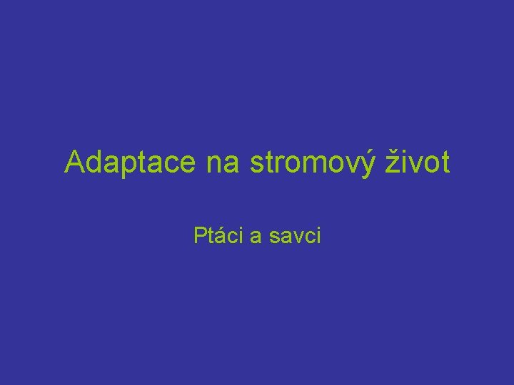 Adaptace na stromový život Ptáci a savci 