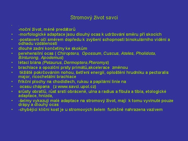 Stromový život savci • • • • . -noční život, méně predátorů -morfologické adaptace