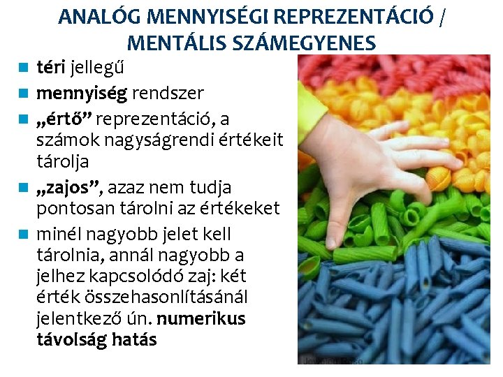 ANALÓG MENNYISÉGI REPREZENTÁCIÓ / MENTÁLIS SZÁMEGYENES n n n téri jellegű mennyiség rendszer „értő”