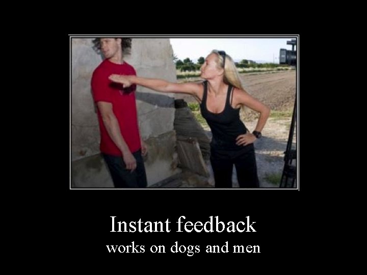 Instant feedback works on dogs and men 