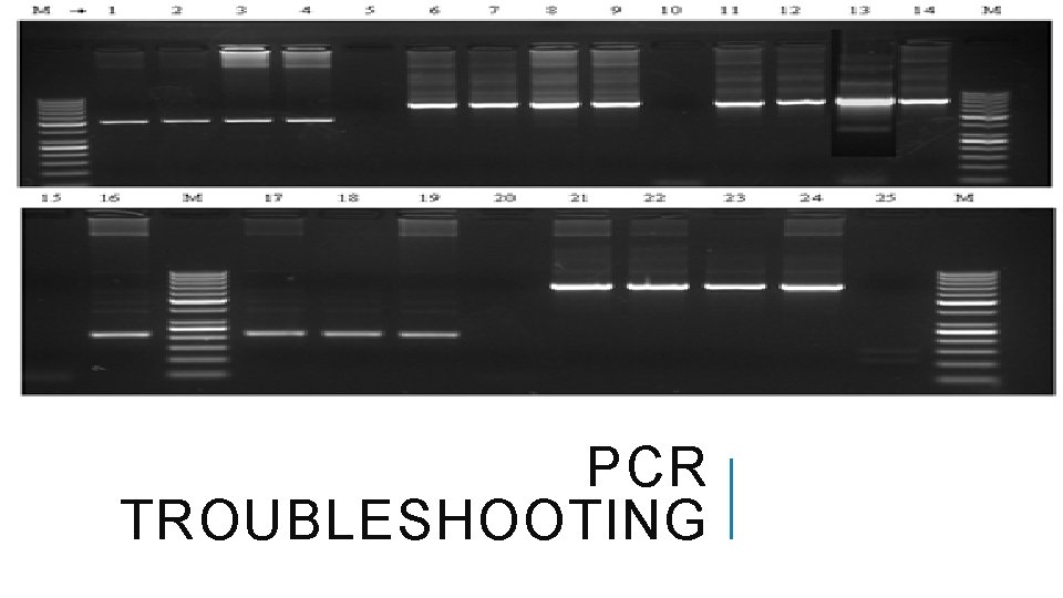 PCR TROUBLESHOOTING 