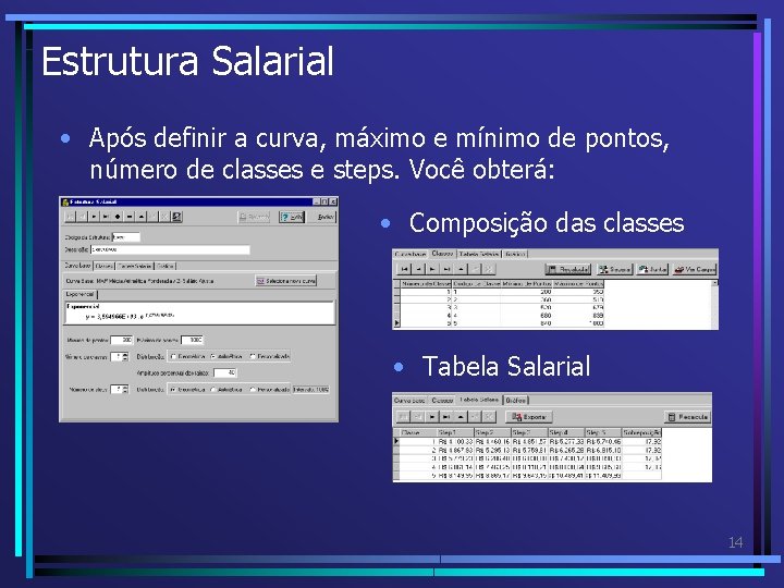 Estrutura Salarial • Após definir a curva, máximo e mínimo de pontos, número de