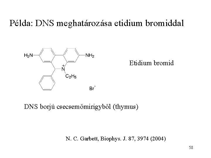 Példa: DNS meghatározása etidium bromiddal Etidium bromid DNS borjú csecsemőmirigyből (thymus) N. C. Garbett,